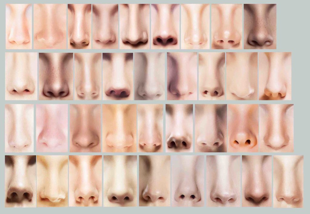 What Makes a Beautiful Nose, According to Science Dr Doyle